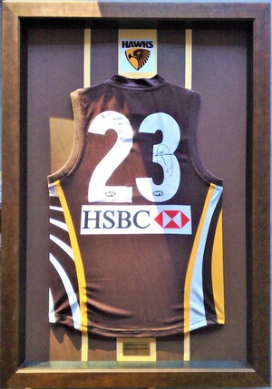 Artstretch Pic 3 - Footy Jumpers in you team colours