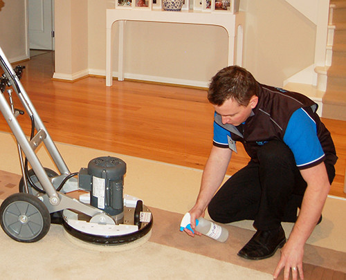 Carpet Cleaning In Melbourne Pic 2