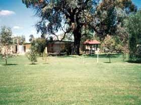 Morgan Riverside Caravan Park Pic 1 - Morgan Riverside Caravan Park Cabins Morgan Riverland South Australia