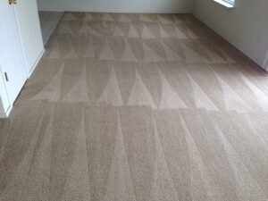 Carpet Cleaning Drummoyne Pic 3