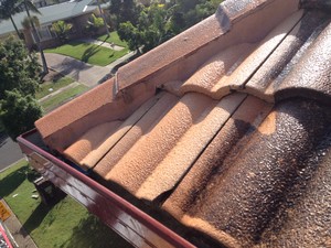 CQS Multi Cleaning Services Pic 4 - Roof Cleaning