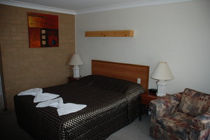 Alexander Motor Inn Pic 3 - Queen Room