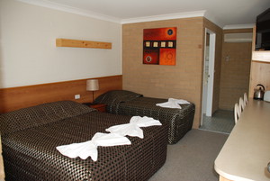 Alexander Motor Inn Pic 2 - Twin Room