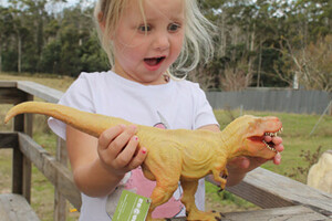 more 2 science Pic 3 - httpswwwmore2sciencecomaudinosaurs Dinosaur Gifts Girl with Dino