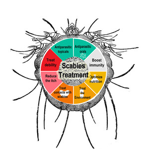 Healthy Skin Clinic Pic 2 - Treatment for scabies addresses the internal environmental causes plus the skin itself