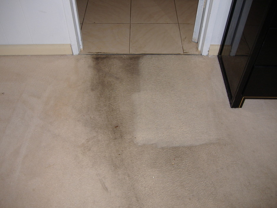 Brian's Carpet Cleaning Pic 1 - Before and during carpet clean