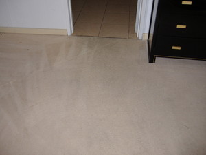 Brian's Carpet Cleaning Pic 2 - After carpet clean