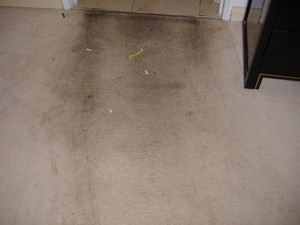 Brian's Carpet Cleaning Pic 3 - Before Carpet clean