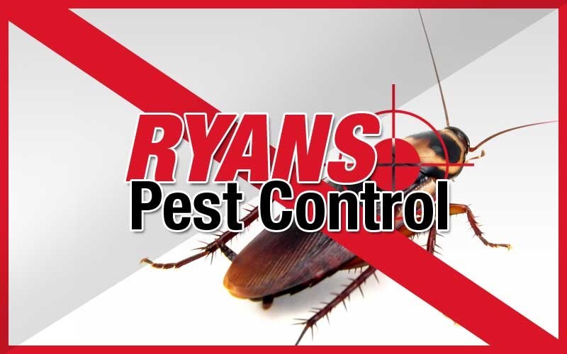 Ryan's Pest Control Pic 1 - Cockroach Pest Control