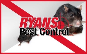 Ryan's Pest Control Pic 3 - Rodent Pest Control