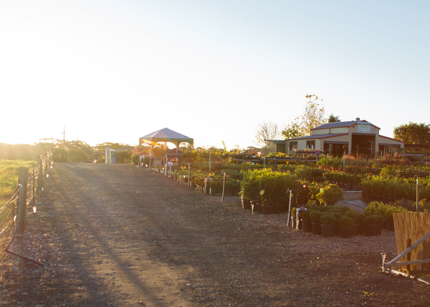 Natures Colours Nursery Pic 1