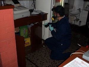 Charlie Chan Cleaning Services & Pest Control Pic 5 - Commercial Kitchen Pest Control Applying Powder In Areas of Concern