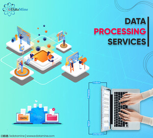 eDataMine Pic 2 - Data Processing Services