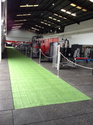 Gold's Gym Yeerongpilly Pic 4