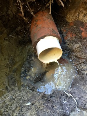 Queenscliff Plumbing Pty Ltd Pic 4 - Pipe relining can save digging up driveways and gardens