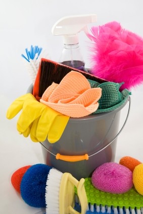 Tonala Cleaning Services Pic 2