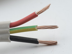 Lynx Electrical Pic 3 - wires