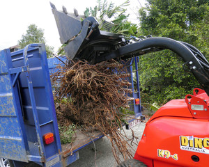 Brisbane Dingo Earthworks Pic 2 - Removing an unwanted garden bed