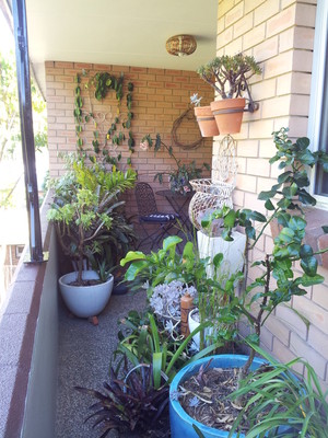 The Planted Balcony Pic 2 - 1B Parramatta balcony after makeover