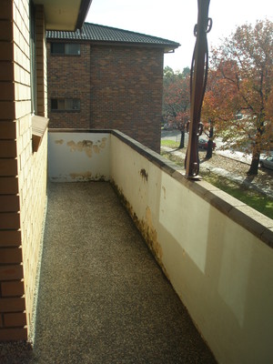 The Planted Balcony Pic 3 - 2A Parramatta balcony before makeover