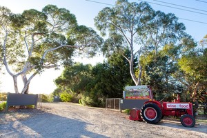 Barmah Park Vineyard Cafe Pic 2