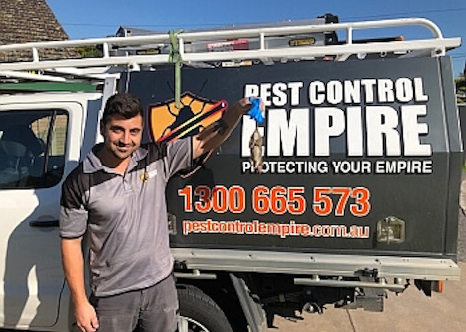 Pest Control Empire Pic 2