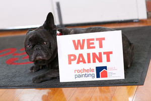 Rochele Painting Pic 5 - Our company mascot Buddha the French bulldog