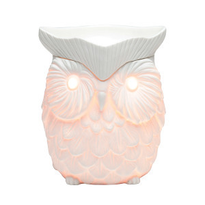 Scentsy Fragrance Pic 2