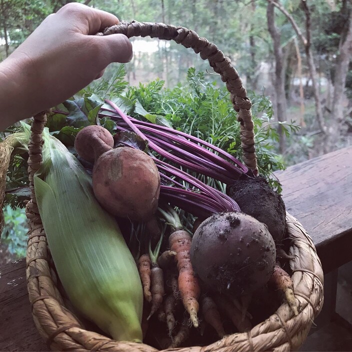 Wood Duck Gardening Pic 1 - Edible gardening