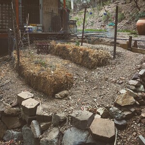 Wood Duck Gardening Pic 2 - Straw bale garden installation