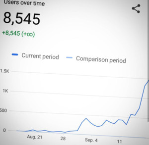 Launch Experts Pic 4 - This is what our results look like From zero traffic to almost 1500 visitors per day in under 3 months