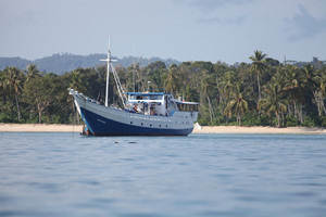 Surf Charter Boat Trips Pic 5