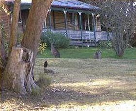 Cedar Lodge Cabins Pic 1 - Cedar Lodge Cabins