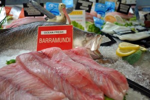 Darwin Fish Market Pic 3