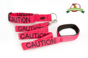 The Canny Canine Pic 3 - CAUTION Collar Lead Combo