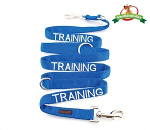 The Canny Canine Pic 5 - TRAINING Lead