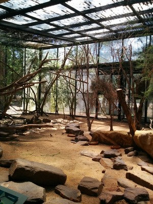 Healesville Sanctuary Pic 4