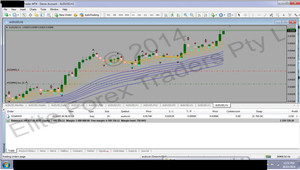 Elite Forex Traders Pty Ltd Pic 5