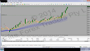 Elite Forex Traders Pty Ltd Pic 4