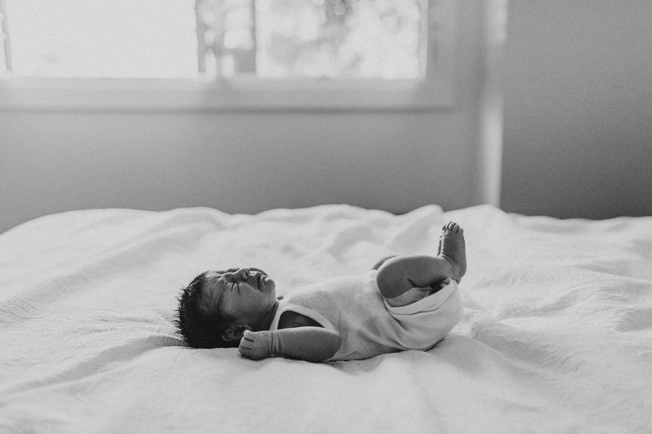 Polly Jane Photography Pic 1 - Sydney Lifestyle Newborn Photographer