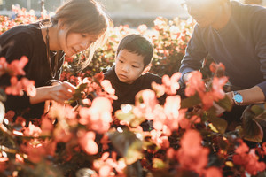 Polly Jane Photography Pic 3 - Sydney Family Photographer