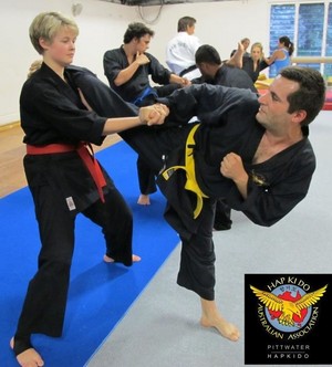 Pittwater Hapkido Pic 5