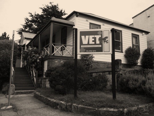 Katoomba Veterinary Clinic Pic 1 - Katoomba Veterinary Clinic