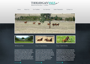 Stu Art Graphics Pic 5 - Toolooganvale Farm Website