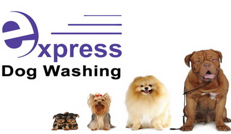 Express Dog Wash & Grooming Services Pic 1