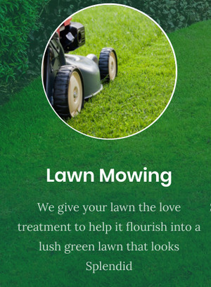 Splendid Lawn Care Pic 5