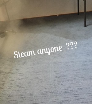 Stately Carpet Care Pic 3 - Steam Cleaning