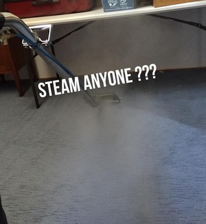 Stately Carpet Care Pic 2 - Steam Cleaning