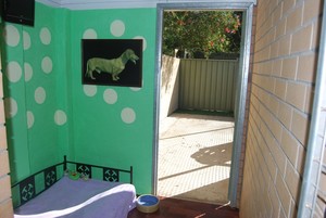 Beenleigh Pet Motel Pic 4 - Deluxe air conditioned rooms private courtyards and a TV for home type accommodation