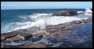 Coledale Beach Camping Reserve Pic 5 - Beautiful beach